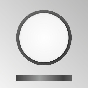 Потолочный светильник Бейсик CL738181V