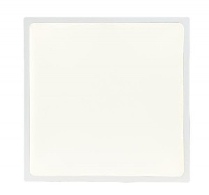 Потолочный светильник Alena 12365-30