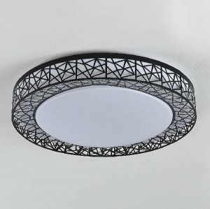 Потолочный светильник Creatura 2315-5C