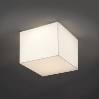 Настенно-потолочный светильник Block 20010/50 BC