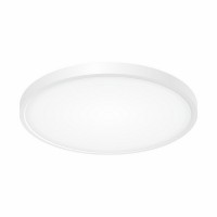 Потолочный светильник Бейсик CL738320V