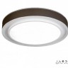 Потолочный светильник Summery B6233-91W/520 WH
