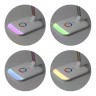 Офисная настольная лампа  NLED-460-14W-W-G