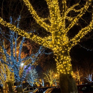 Гирлянда 400-102 400-102