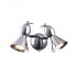 Спот Picchio A9229AP-2CC