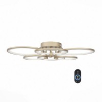 Потолочная люстра Twiddle Dimmer SL867.202.06