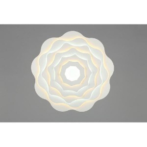 Потолочный светильник 79 OML-07907-188