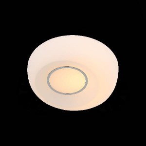 Настенно-потолочный светильник Botone SL467.502.01