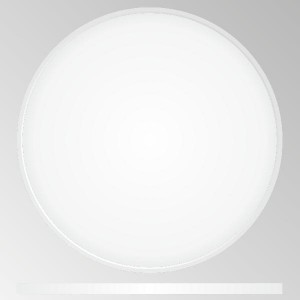 Потолочный светильник Бейсик CL738500V