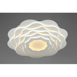 Потолочный светильник 79 OML-07907-344