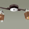 Потолочная люстра Filla 3030/2CA