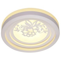 Потолочный светильник  6001-R