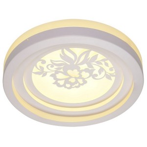 Потолочный светильник  6001-R