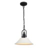 Подвесной светильник Pittura SL261.503.01