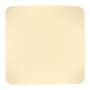 Потолочный светильник Atreju I 48364-24C