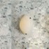 Настенно-потолочный светильник 5067 5067/PLAF