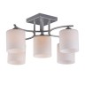 Потолочная люстра Pisticci OML-55307-05