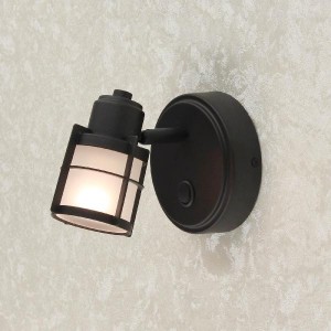 Спот Реймс CL563511