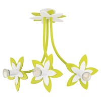 Потолочная люстра Flowers 6898