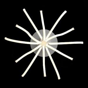 Потолочная люстра Finde SL826.502.12