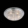 Потолочный светильник Favo SL390.102.05