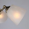 Потолочная люстра Larone OML-54607-05