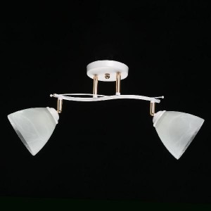 Потолочная люстра Нежность 676013502