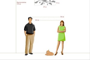 Потолочная люстра Восторг 242016306