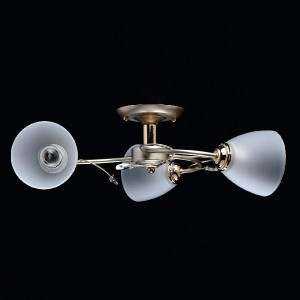 Потолочная люстра Нежность 676014003