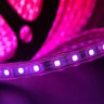 Светодиодная лента  LT560-RGB-50