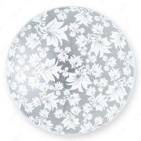 Настенно-потолочный светильник Primrose TL9064Y-02WH