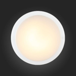 Настенно-потолочный светильник Botone SL466.512.01