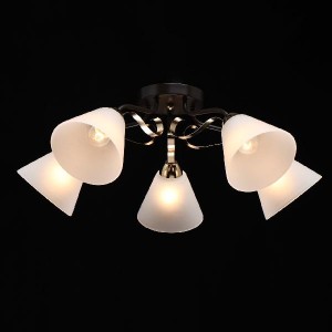 Потолочная люстра Нежность 676014605