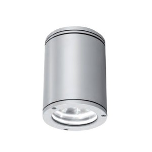 Потолочный светильник Ceiling E5135