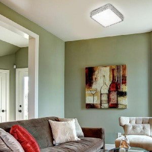 Настенно-потолочный светильник Karola 2035/EL