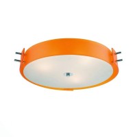 Потолочный светильник Hegia SL484.092.04