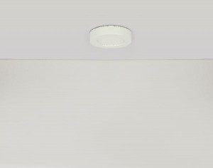 Потолочный светильник Paula 41605-20D