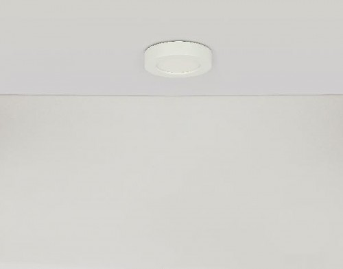 Потолочный светильник Paula 41605-20D