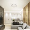 Потолочный светильник LED LAMPS LED LAMPS 81077
