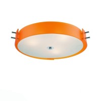 Потолочный светильник Hegia SL484.092.06