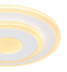 Потолочный светильник Camilla 48013-12