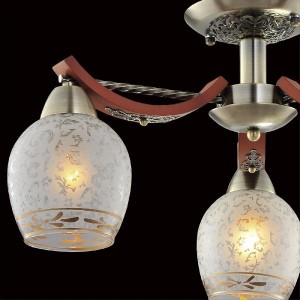 Потолочная люстра Vudi CL165133