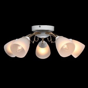 Потолочная люстра Нежность 676014905