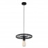 Подвесной светильник Vanessa TL1201H-01BK