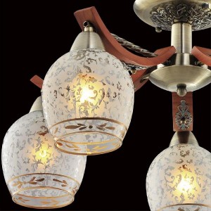 Потолочная люстра Vudi CL165153