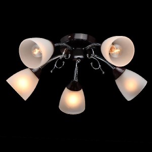 Потолочная люстра Нежность 676015005