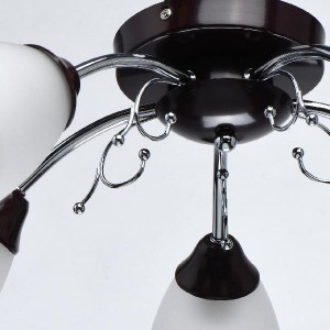 Потолочная люстра Нежность 676015005