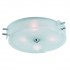 Потолочный светильник Hegia SL484.502.04