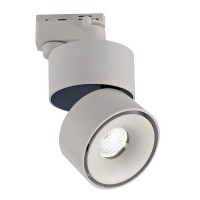 Трековый светильник WL T003112-GD-12-WH-NW