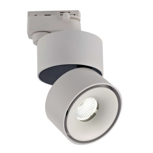 Трековый светильник WL T003112-GD-12-WH-NW